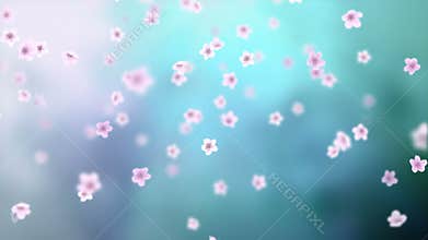 White petals of sakura falling on romantic abstract background. Looped 4K motion spring blossom graphic.