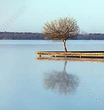 Zen waters