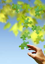 Puzzles of Nature
