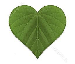 Green Love