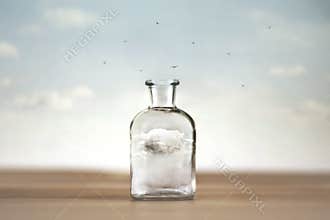 Captive cloud inside a vase
