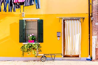 Yellow house with flowers and plants. Colorful houses in Burano island near Venice, Italy