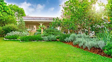 English cottage garden on green grass lawn backyard in a house, infomal landscape decorate with rosemary herb silver leaves