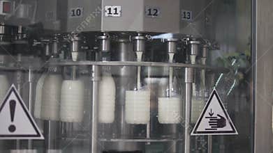 Conveyor line for pouring dairy products into plastic bottles at milk factory. A lot of bottles go around conveyor belt