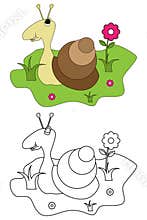 Coloring page book for kids - snail