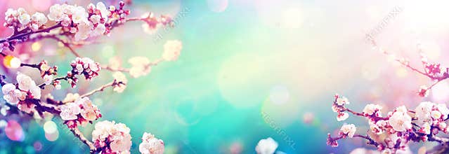 Spring With Trend Colors Palette - Blooming In Spring