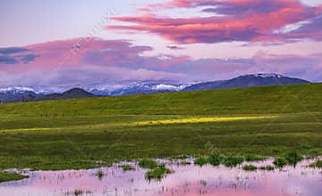 Purple clouds over a Meadow