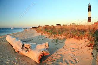 Driftwood on Long Island Sound