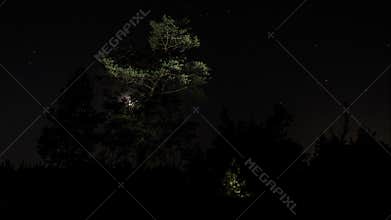 The moon in the night sky