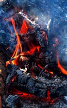 Fire and firewood