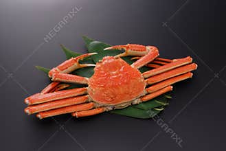 Crab