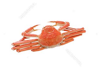 Crab