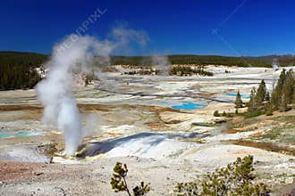 Black Growler Steam Vent at the Porcelain Basin, Norris Geyser Basin, Yellowstone National Park, Wyoming