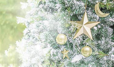 Golden star, moon, ball on Christmas tree with space for text