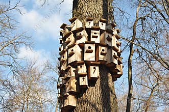 How to Mount a Birdhouse on a Tree. Attach a Birdhouse to a Tree Without Damage.