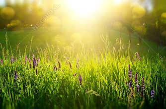 Abstract natural backgrounds
