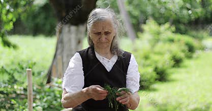 A beloved grandmother with gray long hair is standing in a garden near a wooden table and making a salad.