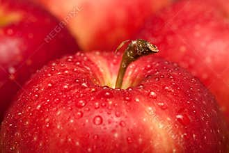 Apples