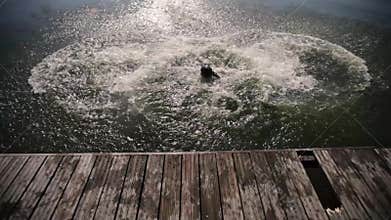 Three guys somersault their backs jumping water