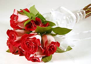 Bouquet of Roses