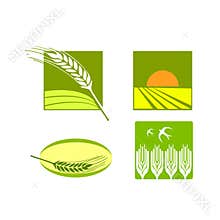 Wheat food rice logo vector