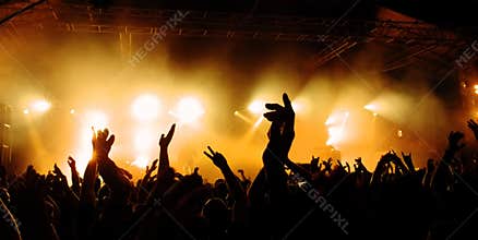 Concert Crowd