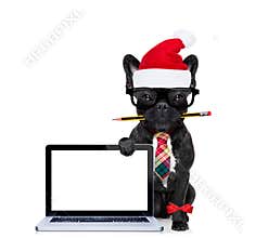 Dog office worker on christmas holidays