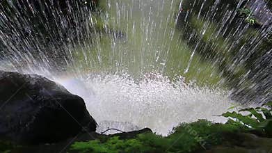 Watarefall views in Kuala Lumpur bird park