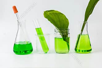Herbal natural organic botany