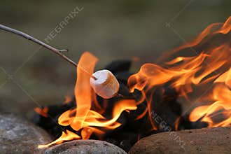 Marshmallow feast