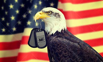 Veterans Day Concept.