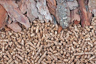 Pine biomass and pellets