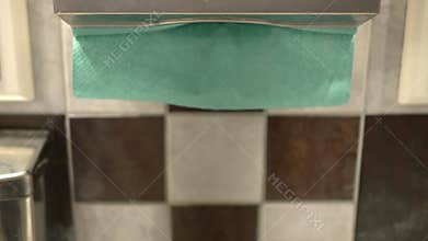 Hand Picking a Paper Towel