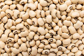 Black Eyed Pea legume. Closeup of grains, background use.