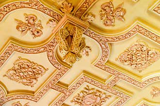 Biltmore House Ceiling