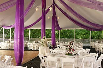 Wedding Reception