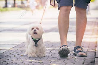 Man walking with dog