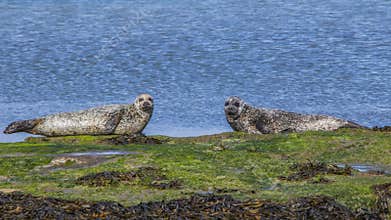 Aran Islands - Inishmore