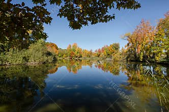 Picture of Horak pond, Czech Republic
