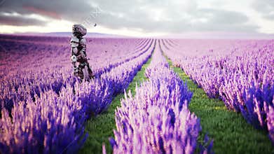 Military robot, cyborg with gun in lavender field. concept of the future. Realistic 4k animation.