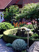 Garden in front of the house