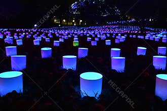 Garden Glow Lights in Missouri Botanic Garden