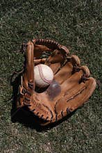 Baseball Glove