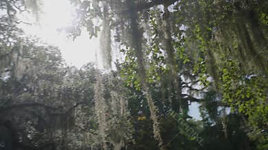 Brookgreen Gardens / South Carolina / USA