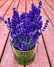 Lavender bouquet again wood backdrop