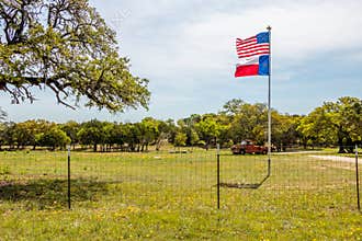 Old Pickup Truck and Wildflowers