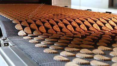 Production line of baking cookies.