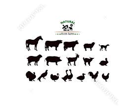 Vector farm animals silhouettes isolated on white.