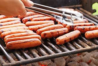 Grilled Hot Dogs