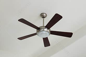 Ceiling fan